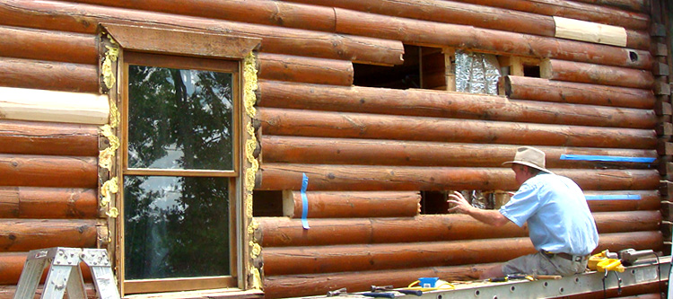Log Home Repair Terrell County, Georgia