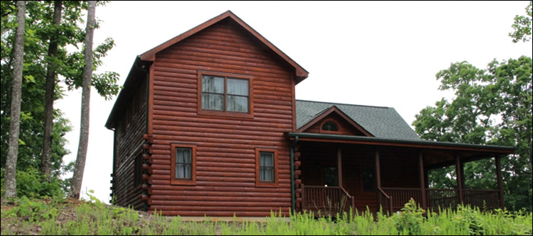 Professional Log Home Borate Application  Terrell County, Georgia